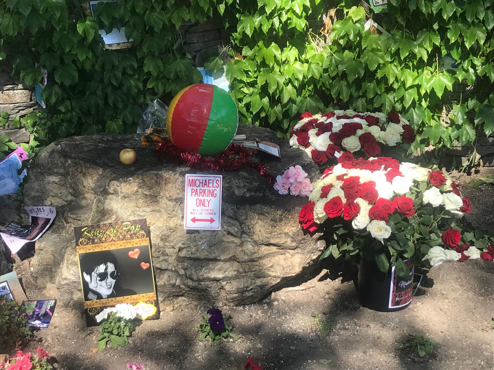 062719 MJ Ranch 6